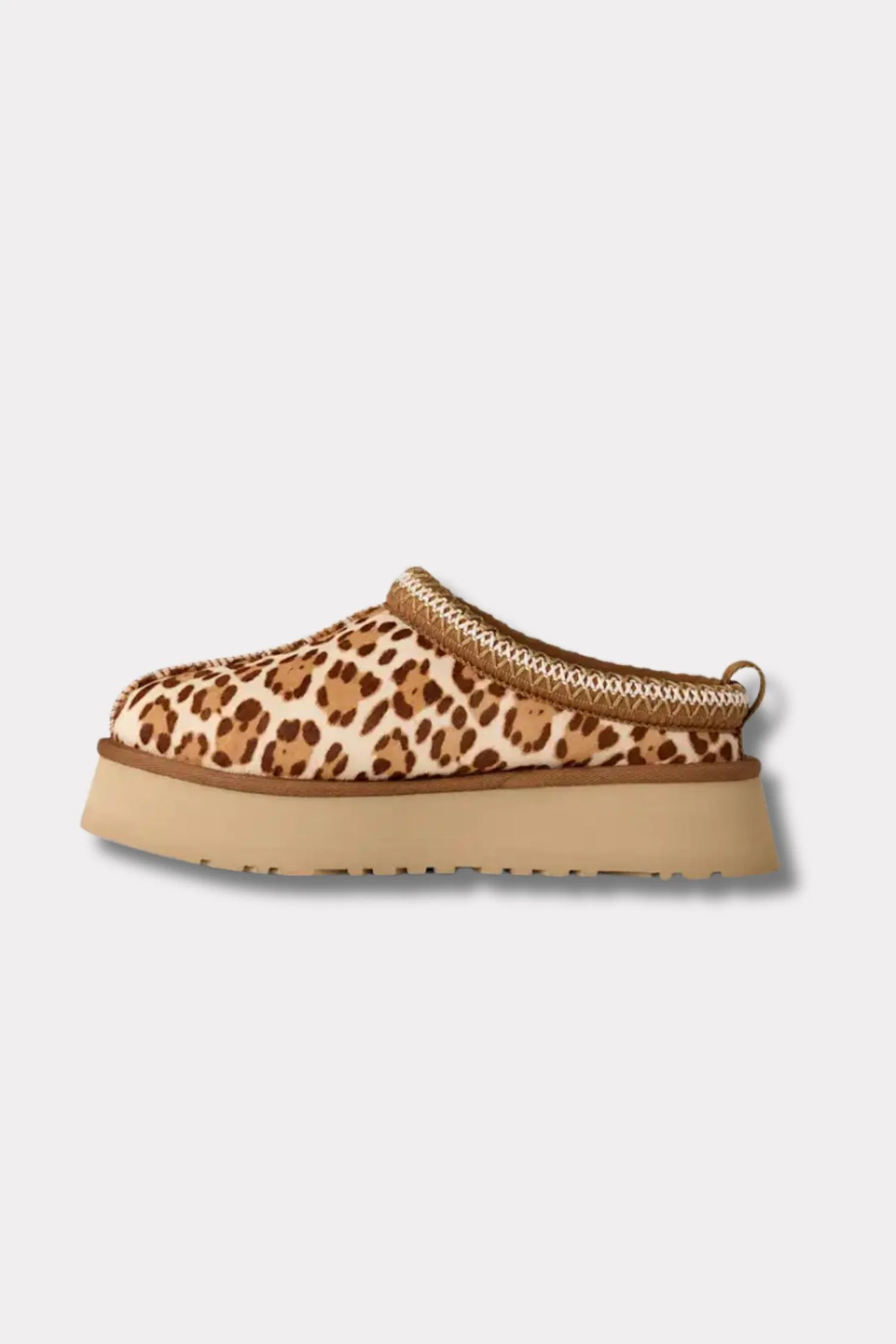 Women's Tazz Plains- Felicity Leopard Jasmine - Image 5