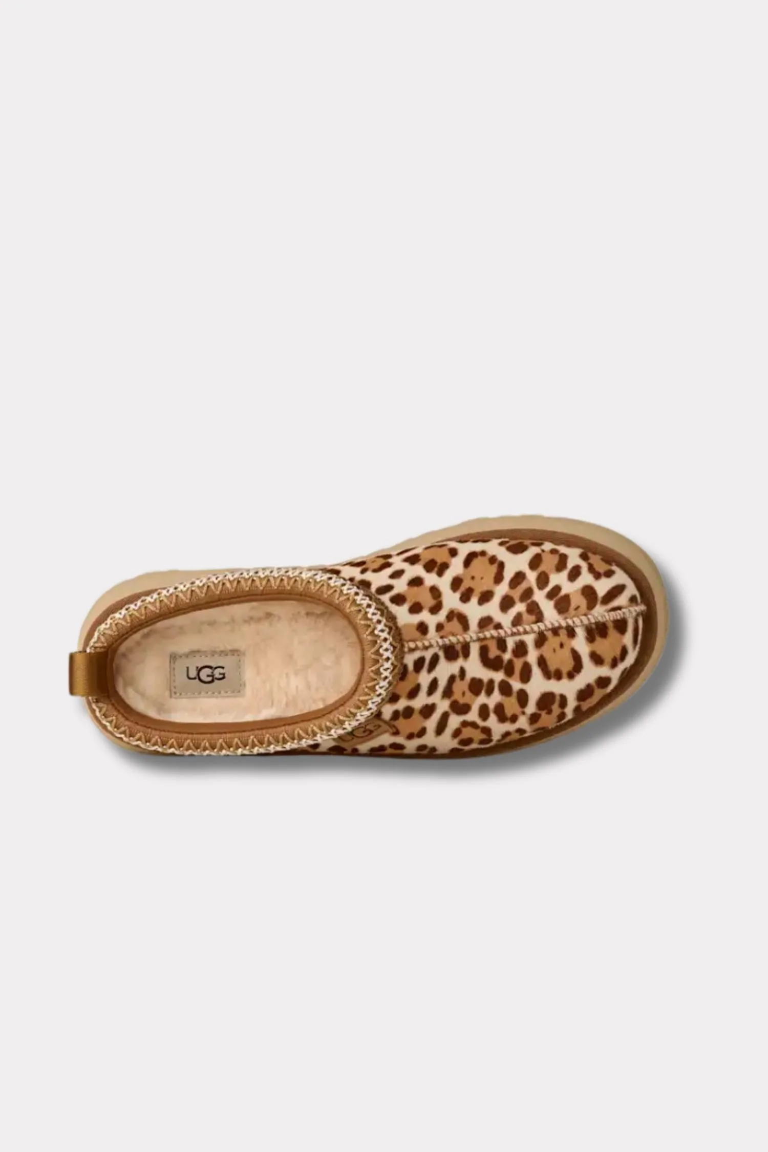 Women's Tazz Plains- Felicity Leopard Jasmine - Image 6