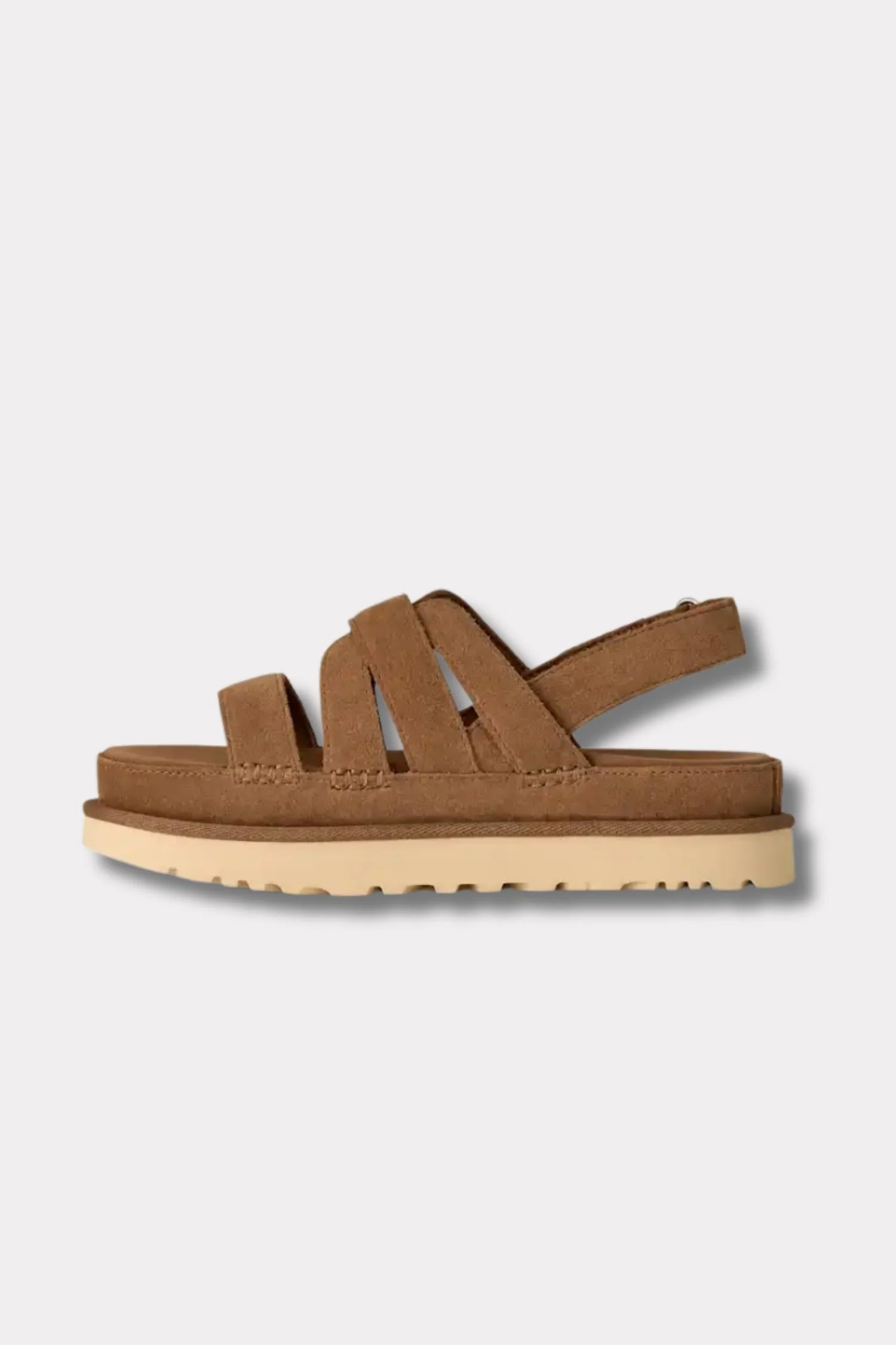 Women's Goldenstar Gleam- Chestnut - Image 3
