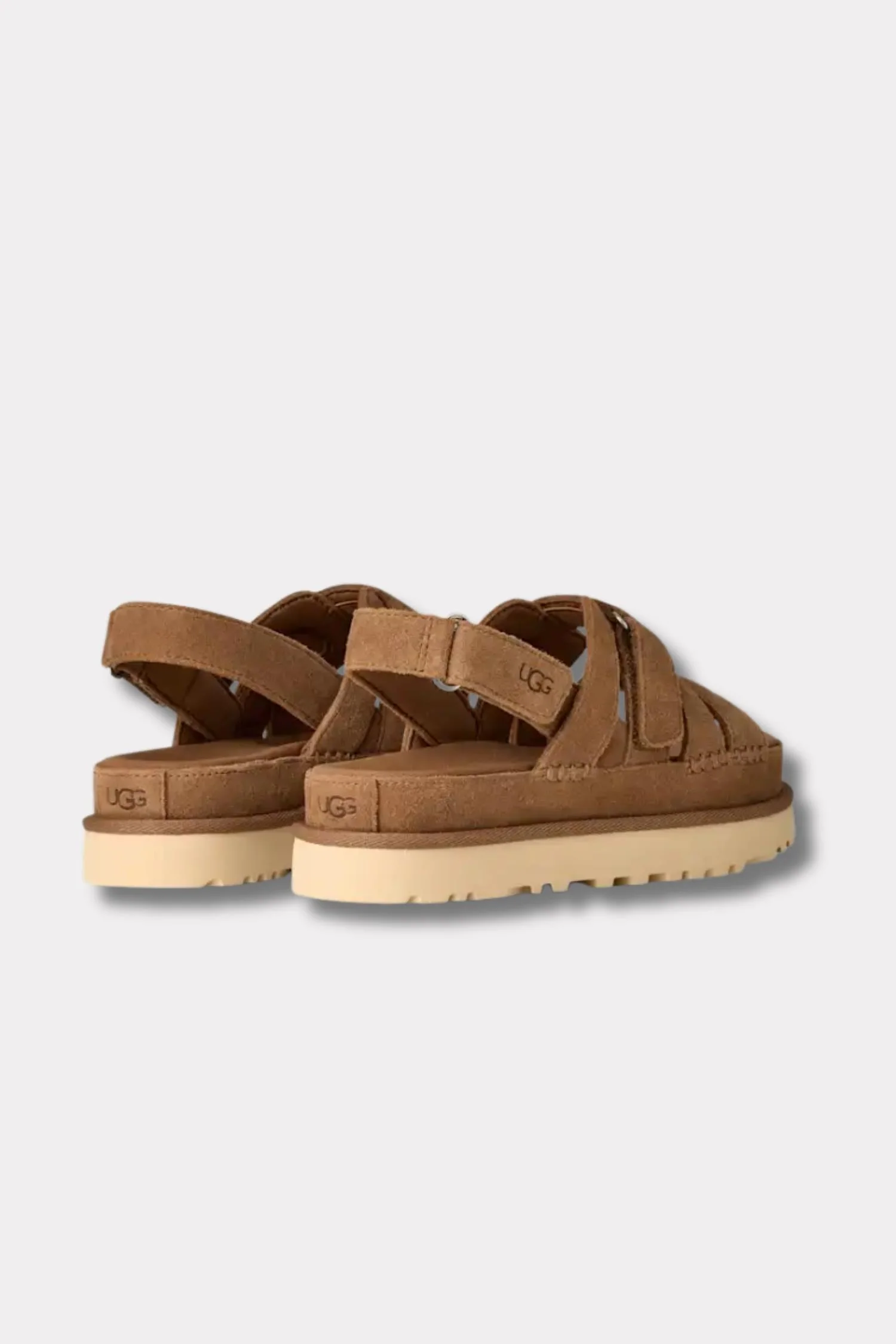 Women's Goldenstar Gleam- Chestnut - Image 4