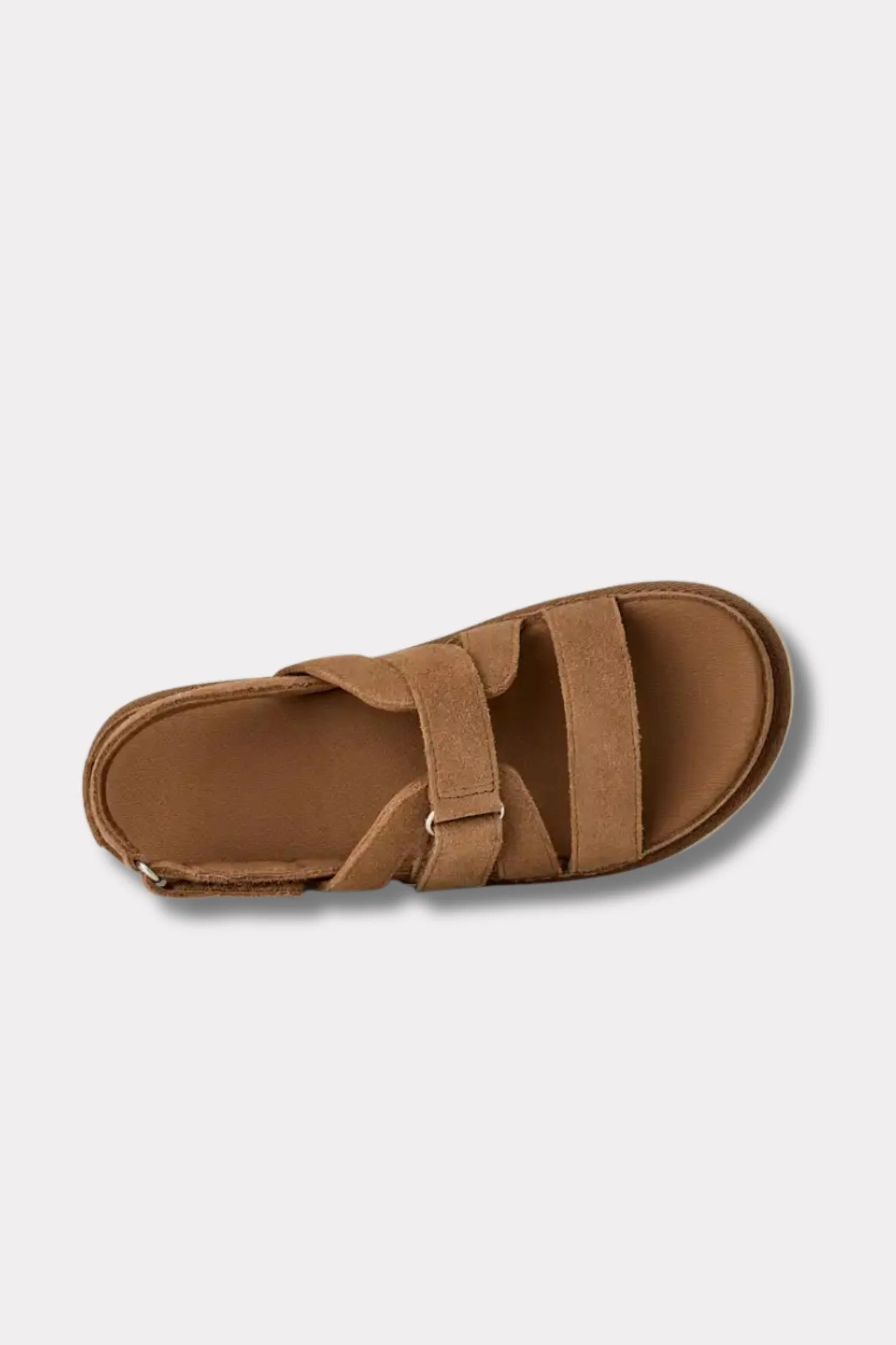 Women's Goldenstar Gleam- Chestnut - Image 6